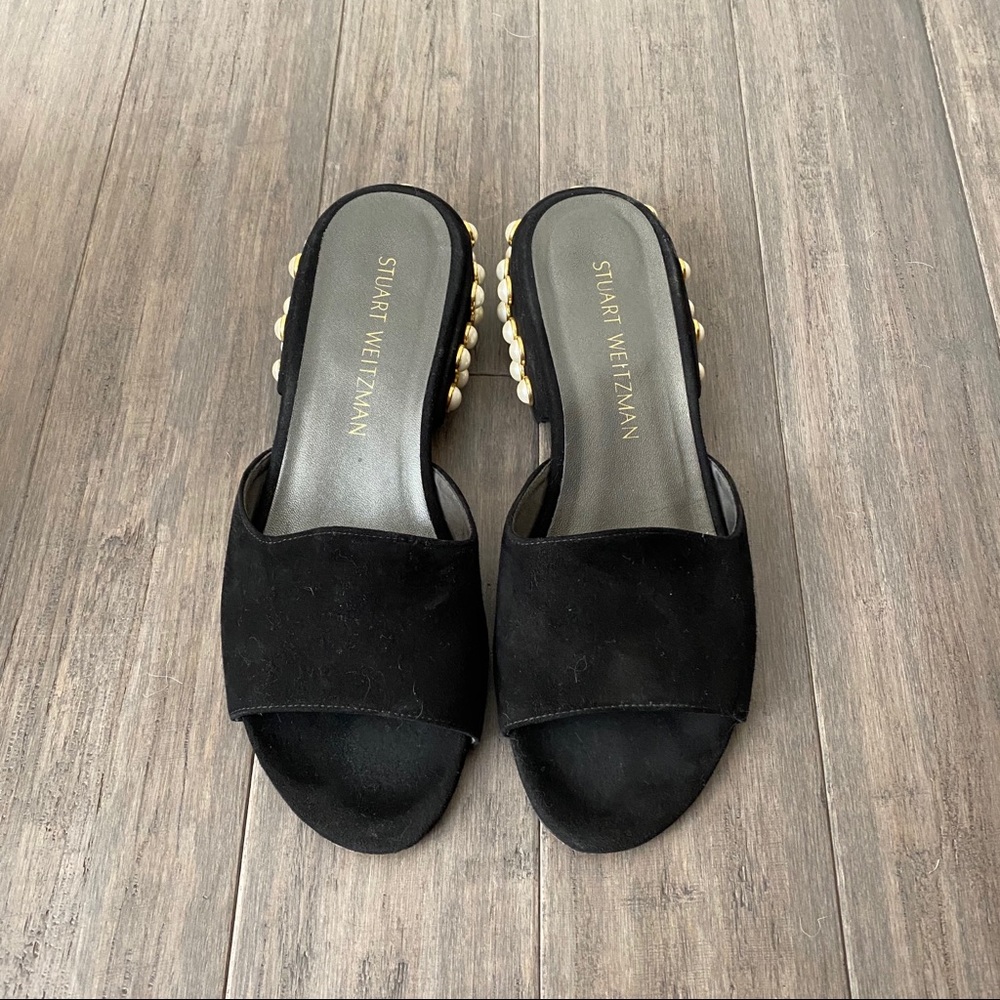 Stwart Weizmann slippers